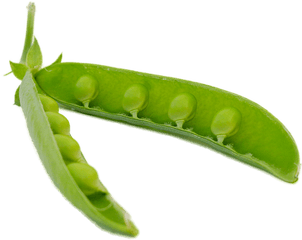 Pod Peas Pods Png - Sugar Snap Peas On Transparent Background