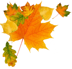 Falling Leaves Transparent Png - Autumn Leaves Free Png