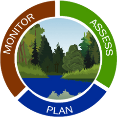 Forest Service - Tropical And Subtropical Coniferous Forests Png