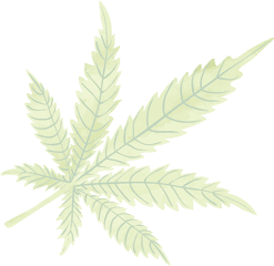 Leaf Cannabis - Greenline Pos Fern Png