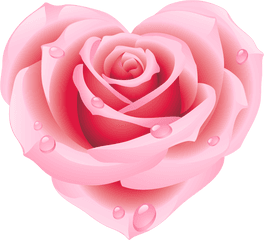 1518x1388 Pixels Pink Roses - Flower Stickers For Whatsapp Png