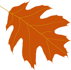 Oak Leaf Clipart - Transparent Oak Tree Leaf Png