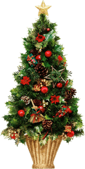 Christmas - New Year Tree Png