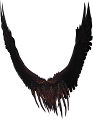 Long Black And Purple Wings Transparent Png - Stickpng