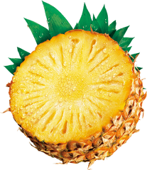 Pineapple Png Clip Art - Pineapple Clip Art U0026 Pineapple Png Pineapple