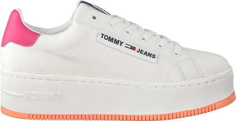 White Tommy Hilfiger Low Sneakers - Plimsoll Png