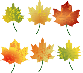 Download Free Png Leaves - Leaves Clipart Autumn