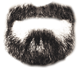 Beard Png - Goatee Png