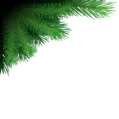 Xmas Tree Branches Png Image - Png Format Christmas Tree Png