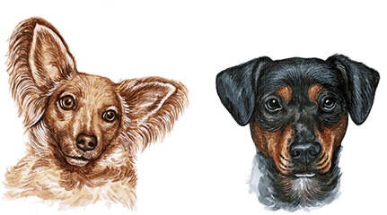 Dog Watercolor Painting - Watercolor Dogs Png Download 600 Watercolor Dog Clipart Png