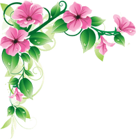 Flowers Borders High-Quality Png