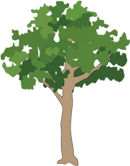 Icon Png Small Tree Download - Vector Tree Icon Png