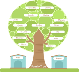 Download Tree Structure Family Round Hd 1356487 - Png Structure Of A Family Tree