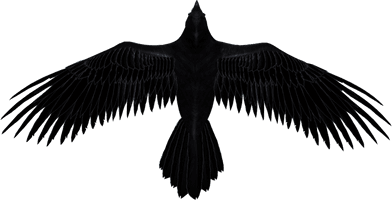 Raven - Free PNG