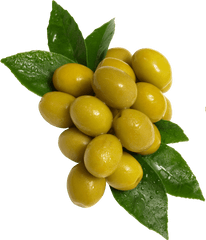 Olives - Green Olives Png