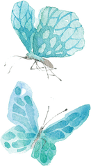 Download Ai Vector Watercolor Butterfly - Blue Butterfly Watercolour Png