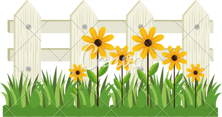 Plant Flower Garden - Clip Art Png