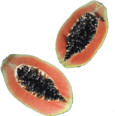 Papaya Png Em 2020 - Street Food Fillers Polyvore