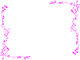 Border Fuchsia HQ Image Free - Free PNG