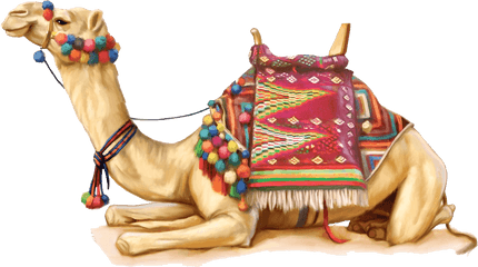 Camel Png 2 Image - Camel Illustration