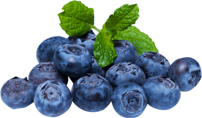 Download Blueberry With Leaf Png Image - Blueberries Png