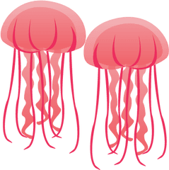 Dangerous Beach Creatures To Watch Out - Jelly Fish Cartoon P Png