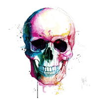 Color Calavera Painting Drawing Skull PNG Download Free