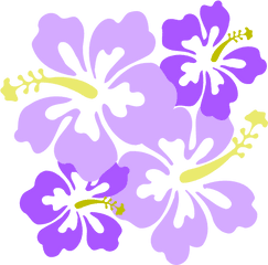 Download Hibiscus Clipart Png For Web - Clip Art Hawaiian Md Mba Eugene Rhee Md Urology