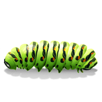 Caterpillar Transparent - Free PNG