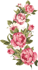 Library Of Peony Flower Png Free - Vintage Text Box Png