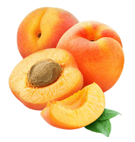 Apricot Fruit Slice Free Download PNG HD