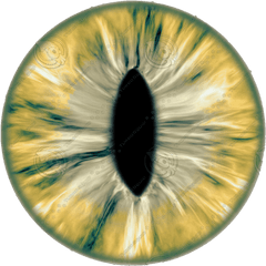 Download New 20 Eye Lens Png For Editing Eyes - Dino Eye Texture