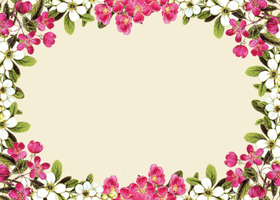 Pink Flower Frame Photos - Free PNG