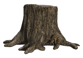 Tree Stump Photos Trunk Free Download Image - Free PNG