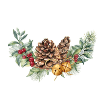 Christmas Pine Cone PNG Free Photo