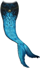 Mermaid Tail Png 2 Image - Transparent Background Png Mermaid Tail