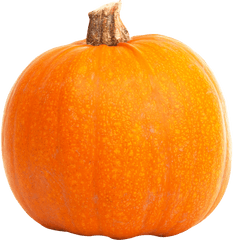 Pumpkin Png - Pumpkin