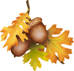 Gems Cottage Blog Archive - Fall Leaves Acorn Png