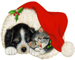 Real Pic Christmas Animal Free HQ Image - Free PNG