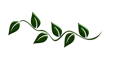 Leaves Green HD Image Free - Free PNG