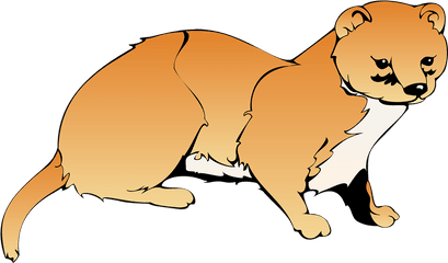 Weasel Brown White - Clip Art Weasel Png