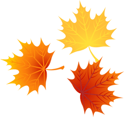 Download Autumn Euclidean Leaves Vector Leaf Png Image High - Autumn Leaf Vector Png