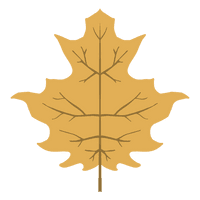 Autumn Vector Leaf Free HD Image - Free PNG