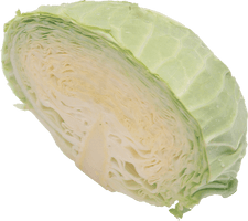 Cabbage Png Image