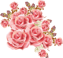 Pink Rose Border Png - Free Pink Rose Border Png Pink And Flower Png