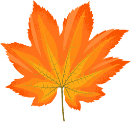 Download Vine Maple Yellow Leaf Clipart - Fall Maple Leaf Vine Maple Png