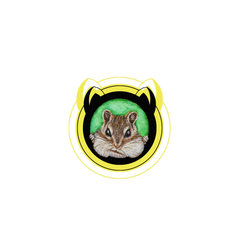 Chipmunk - Kangaroo Rat Png