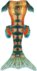 Mermaid Tail Png Clipart Panda - Free Clipart Mermaid