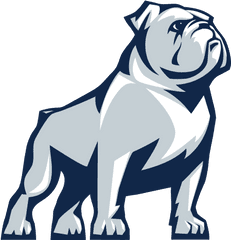 Bulldog Art - Samford Bulldogs Logo Png