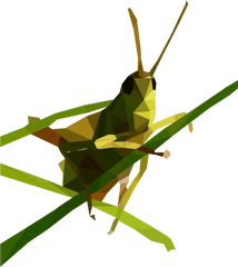 Grasshopper Png Image - Locust Icon Png